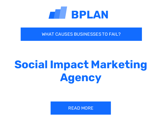 Why Do Social Impact Marketing Agency Businesses Fail?