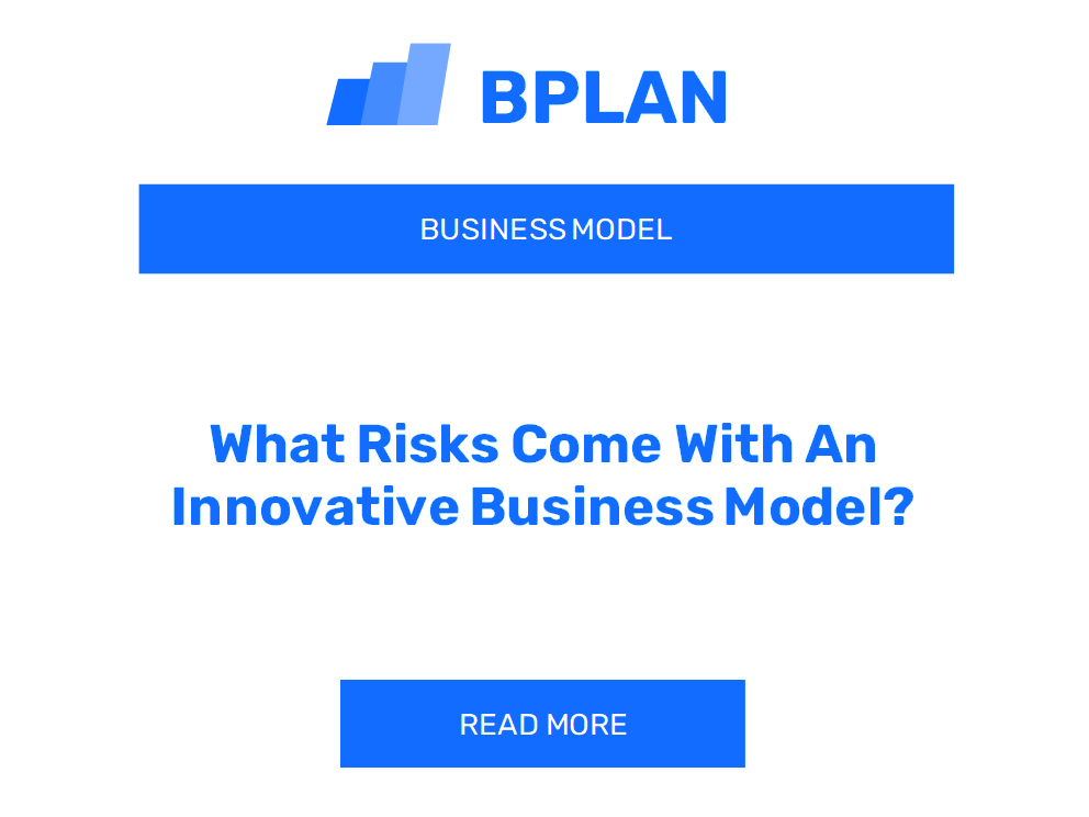 What Risks Come With An Innovative Business Model?