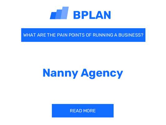 What Are the Pain Points of Running a Nanny Agency Business?