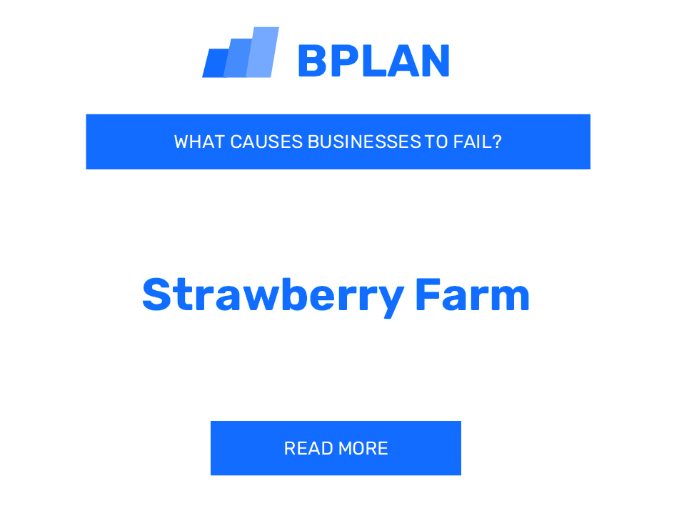 Why Do Strawberry Farm Businesses Fail?