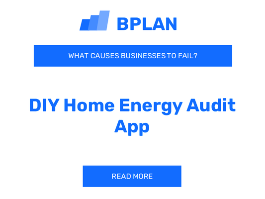 What Causes DIY Home Energy Audit App Businesses to Fail?