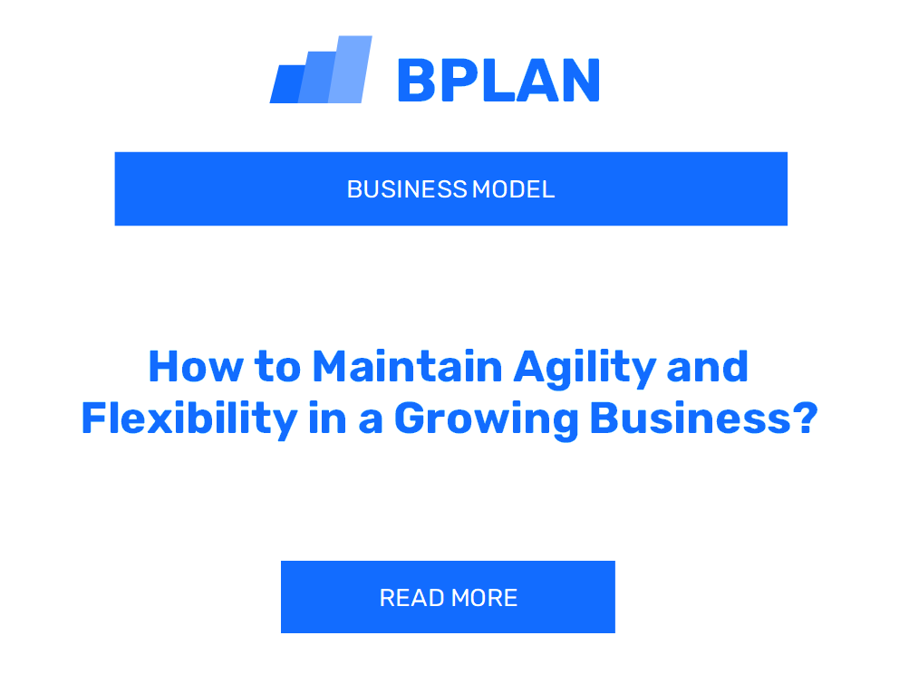 How to Maintain Agility and Flexibility in a Growing Business?