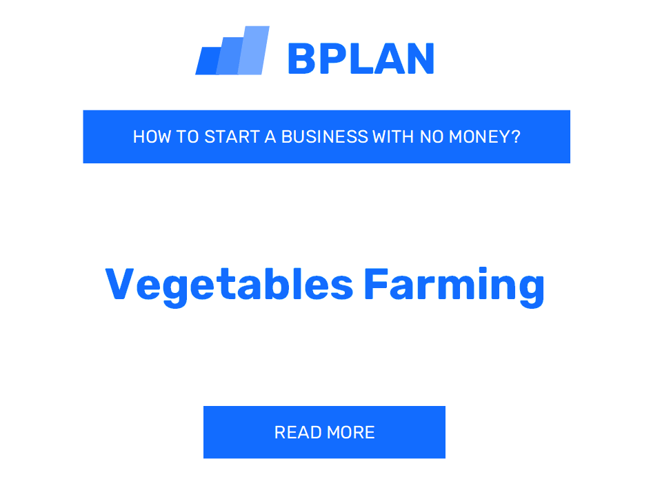 How to Start a Vegetable Farming Business with No Money?