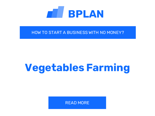 How to Start a Vegetable Farming Business with No Money?