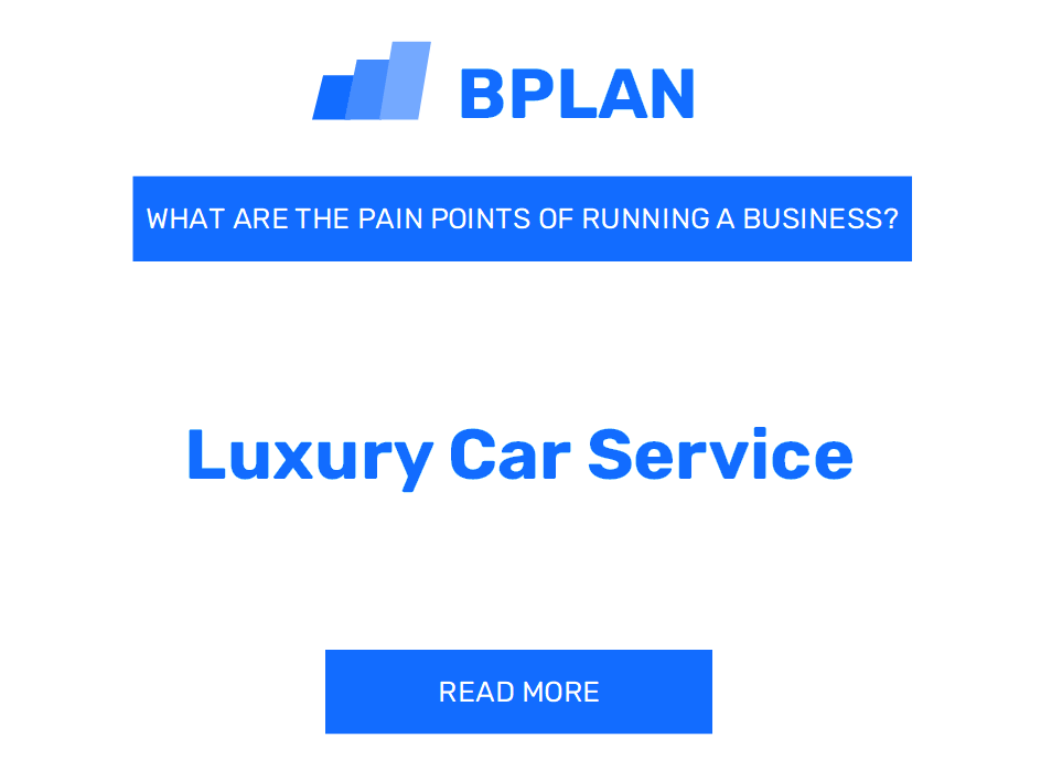 What Are the Pain Points of Running a Luxury Car Service Business?