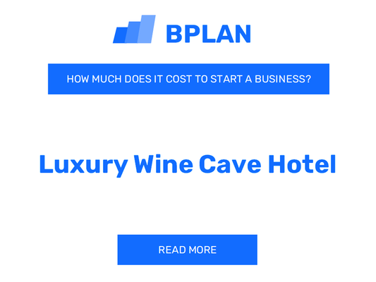 How Much Does It Cost to Start a Luxury Wine Cave Hotel?