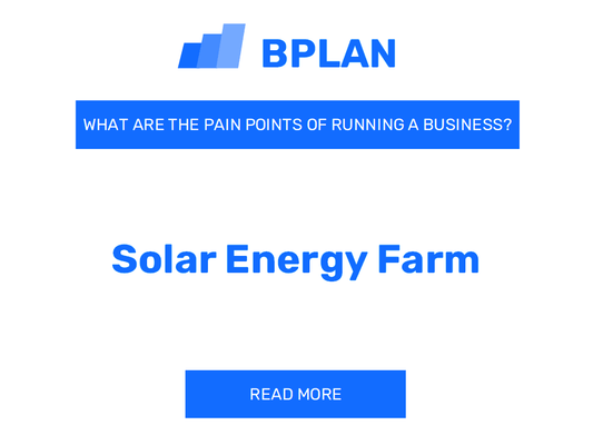 What Are the Pain Points of Running a Solar Energy Farm Business?