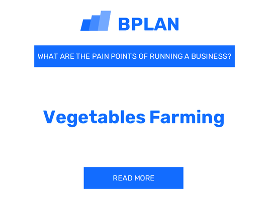 What Are the Pain Points of Running a Vegetable Farming Business?