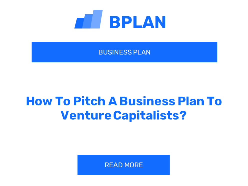 How To Pitch A Business Plan To Venture Capitalists?