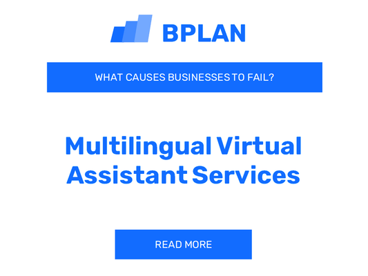 Why Do Multilingual Virtual Assistant Services Businesses Fail?