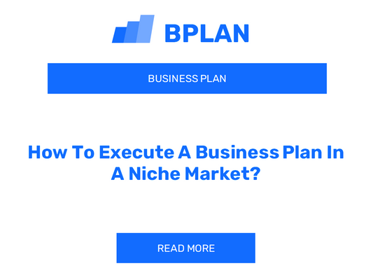 How To Execute A Business Plan In A Niche Market?