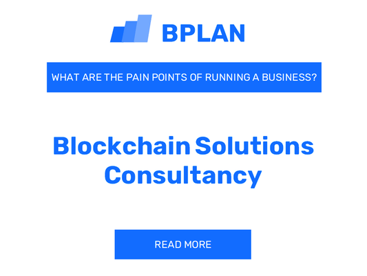 What Are the Pain Points of Running a Blockchain Solutions Consultancy Business?