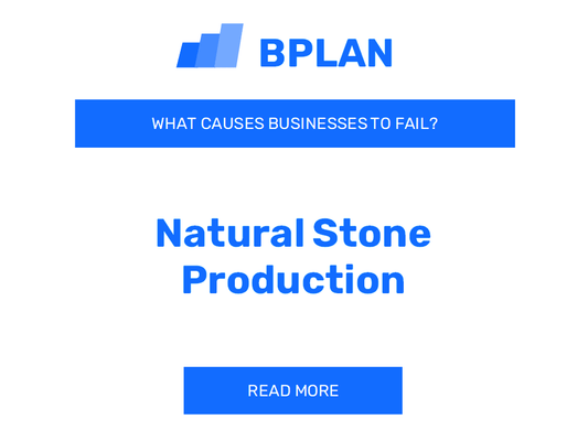 What Causes Natural Stone Production Businesses to Fail?