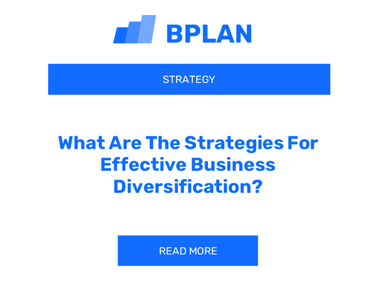 What Are The Strategies For Effective Business Diversification?