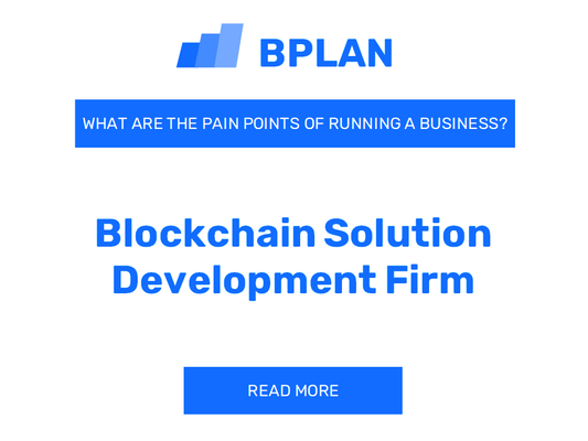 What Are the Pain Points of Running a Blockchain Solution Development Firm Business?