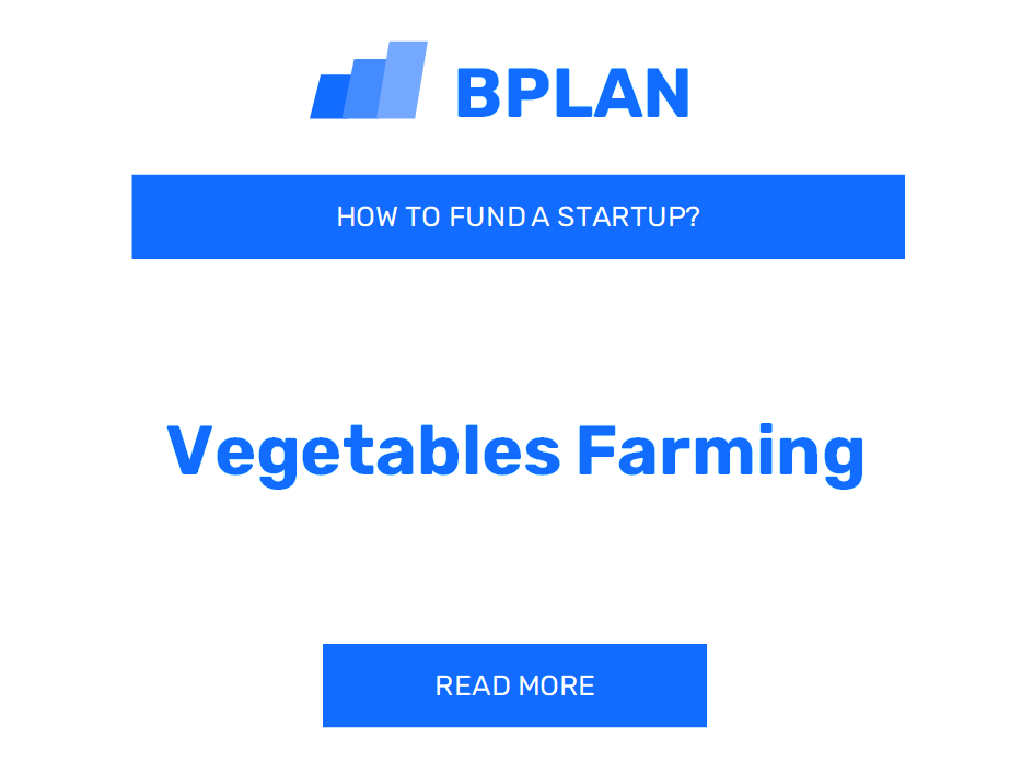 How to Fund a Vegetable Farming Startup?