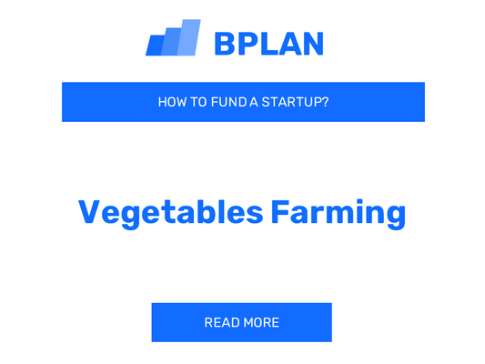 How to Fund a Vegetable Farming Startup?