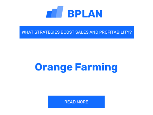 How Can Strategies Boost Sales and Profitability of Orange Farming Business?