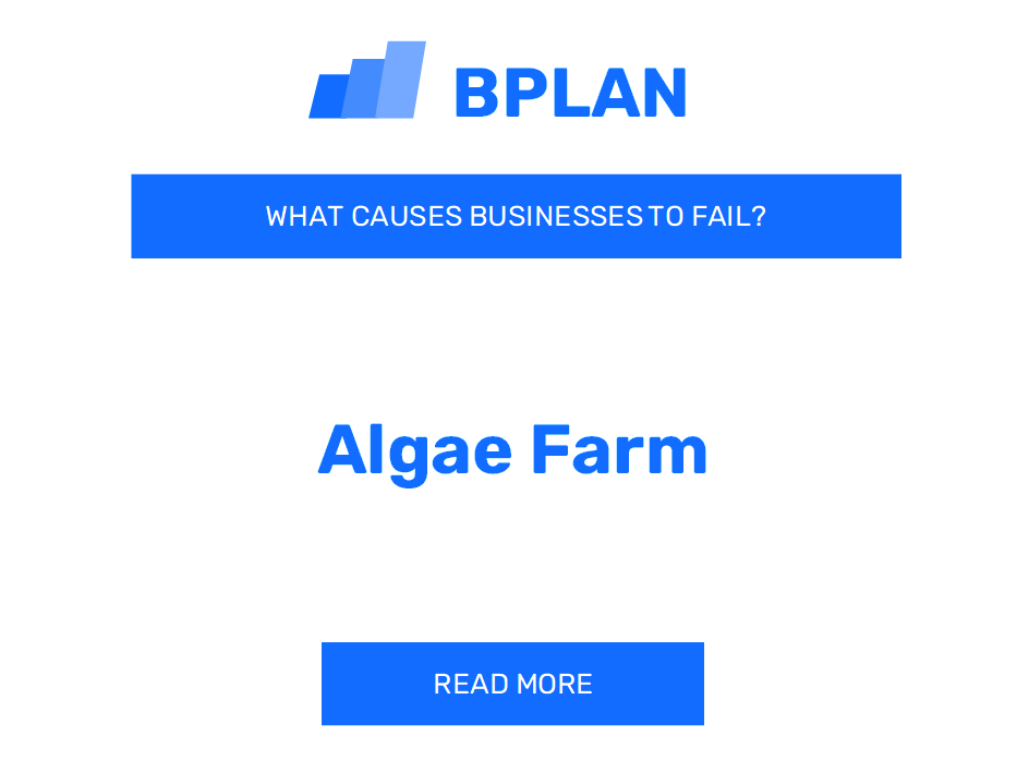 Why Do Algae Farm Businesses Fail?