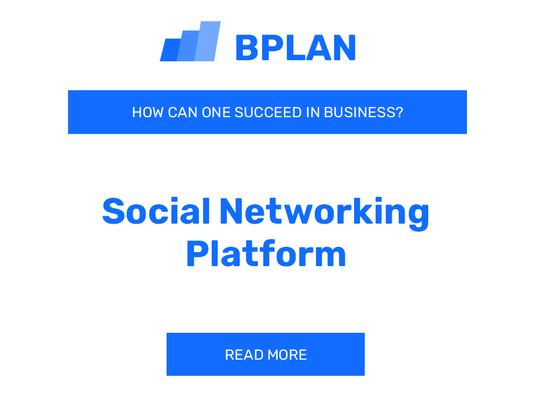 How Can One Succeed in Social Networking Platform Business?