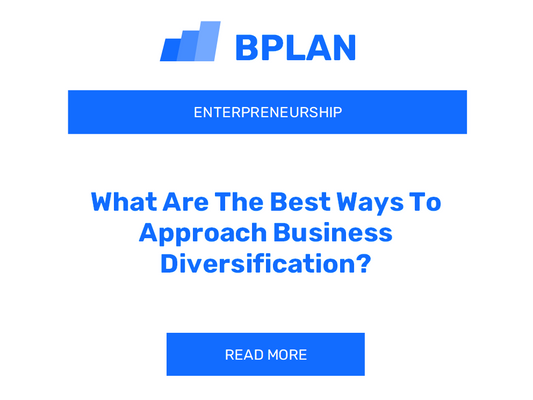 What Are The Best Ways To Approach Business Diversification?