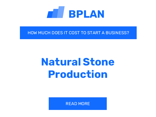 How Much Does It Cost to Launch Natural Stone Production?