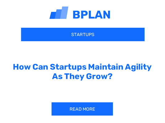 How Can Startups Maintain Agility As They Grow?