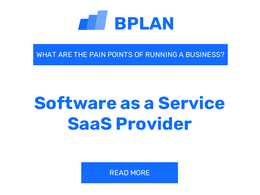 What Are the Pain Points of Running a Software as a Service (SaaS) Provider Business?