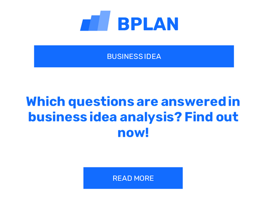 Which questions are answered in business idea analysis? Find out now!