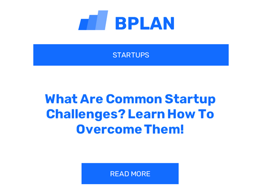 What Are Common Startup Challenges? Learn How To Overcome Them!