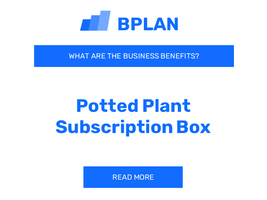 What Are the Benefits of Potted Plant Subscription Boxes?