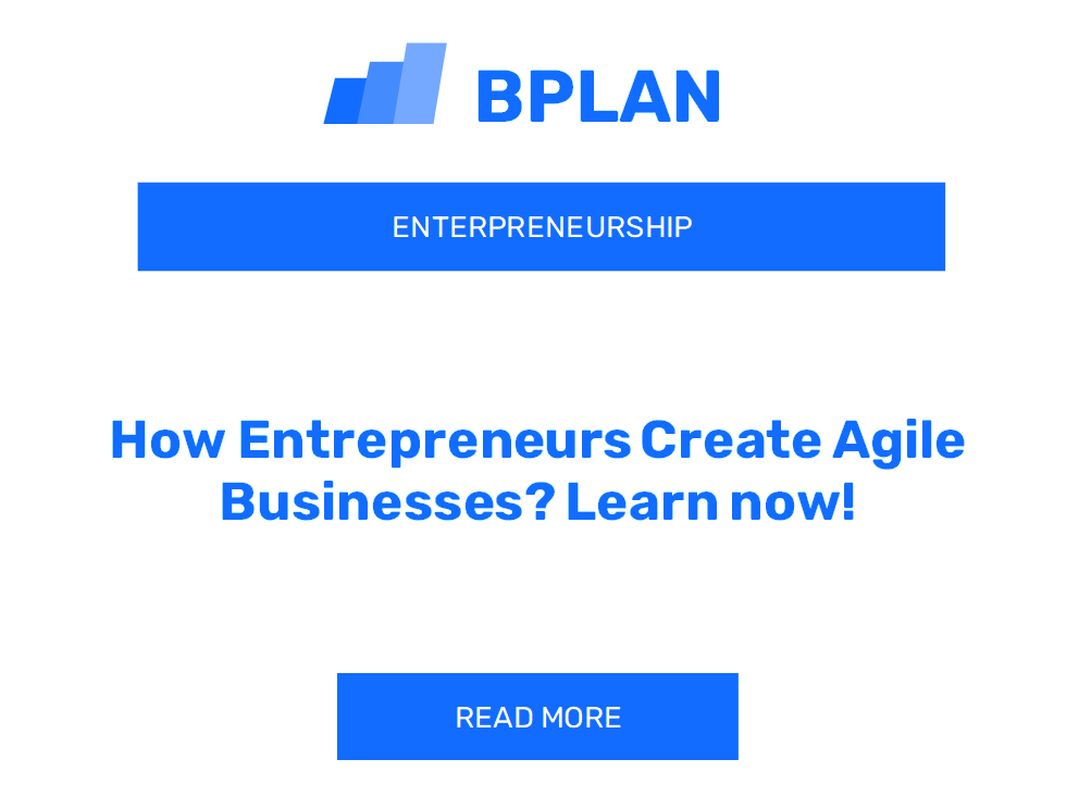 How Entrepreneurs Create Agile Businesses? Learn now!