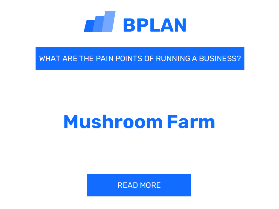 What Are the Pain Points of Running a Mushroom Farm Business?