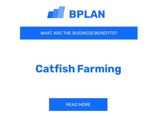 What are the Benefits of Catfish Farming Business?