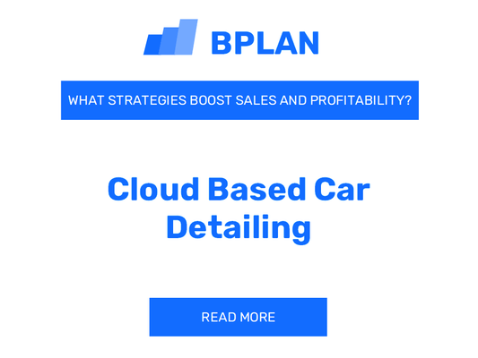 How Can Strategies Boost Sales and Profitability of Cloud-Based Car Detailing Business?