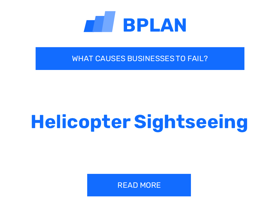 What Causes Helicopter Sightseeing Businesses to Fail?