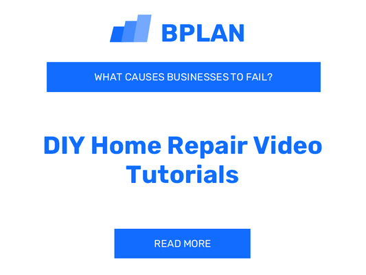 Why Do DIY Home Repair Video Tutorial Businesses Fail?