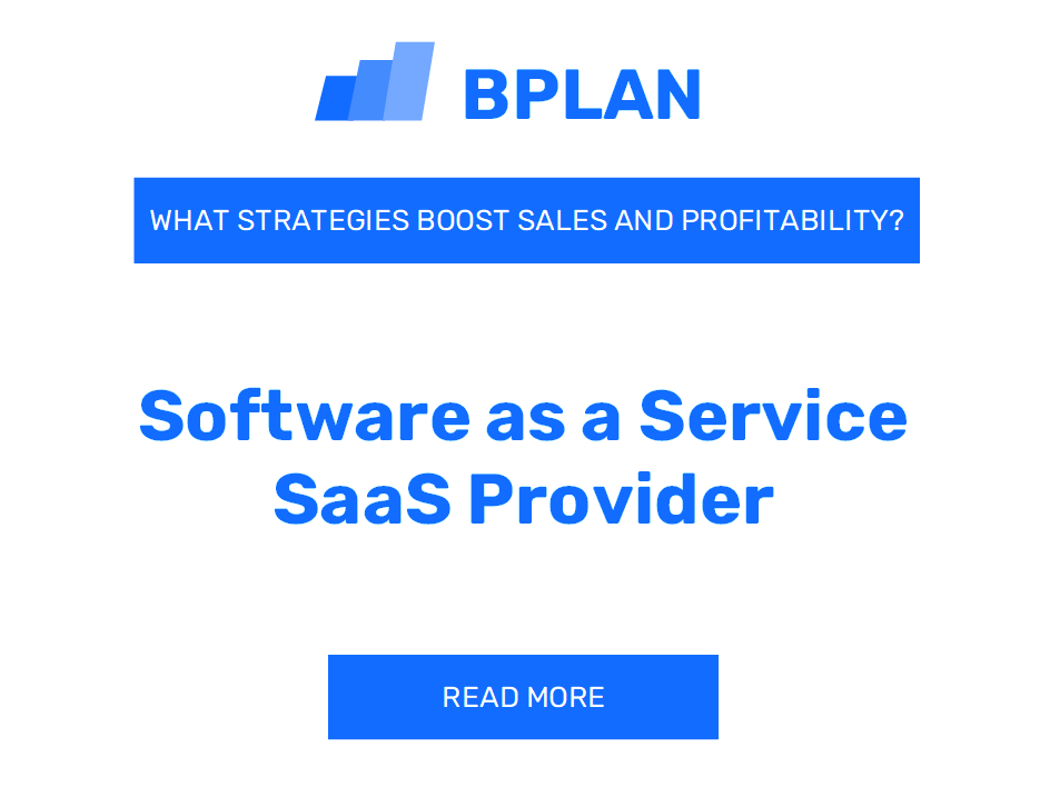 How Can Strategies Boost Sales and Profitability of Software as a Service (SaaS) Provider Business?