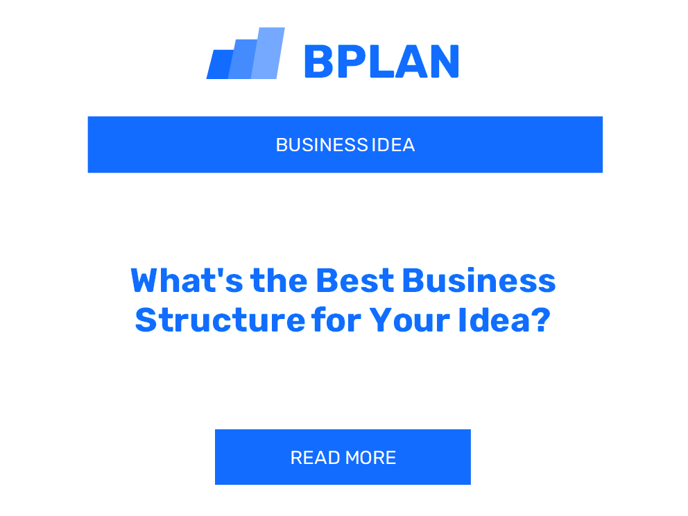 What's the Best Business Structure for Your Idea?