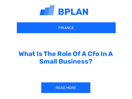 What Is The Role Of A Cfo In A Small Business?