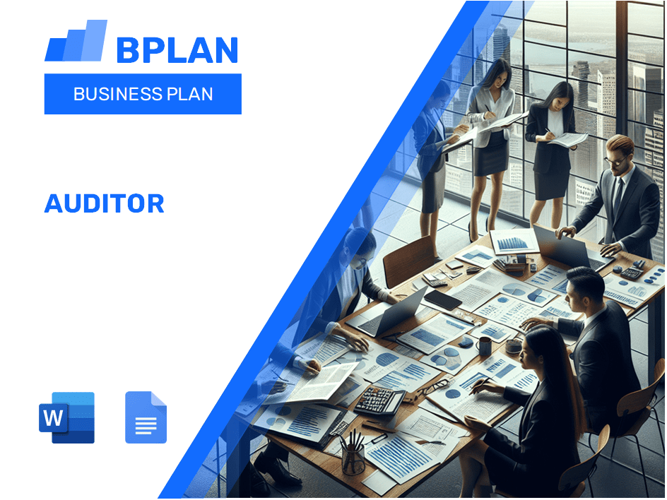 Auditor Business Plan