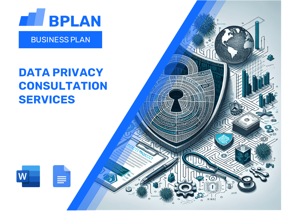 Plan de negocios de servicios de consulta de privacidad de datos