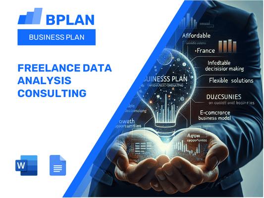 Plan d'affaires consultant d'analyse de données indépendantes