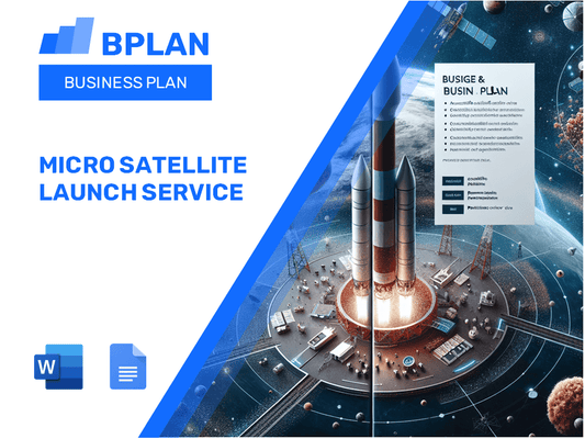 Micro Satellite Launch Service Business Plan