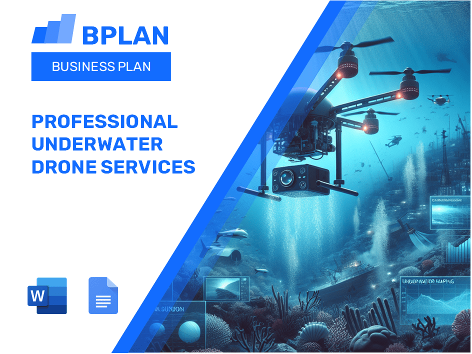 Professional Underwater Drone Services Business Plan